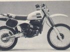 Suzuki PE 175